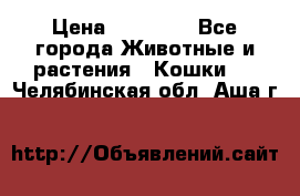 Zolton › Цена ­ 30 000 - Все города Животные и растения » Кошки   . Челябинская обл.,Аша г.